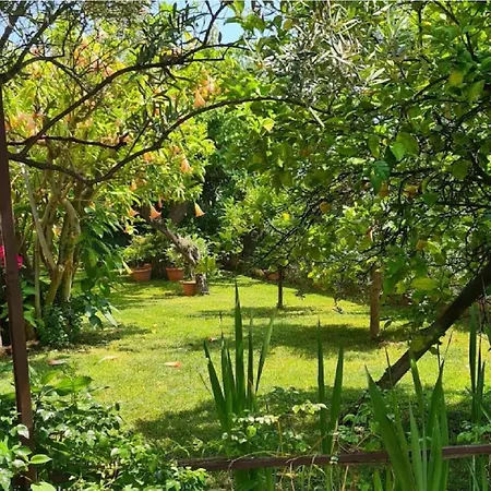 La Terrazza Sui Limoni - Degli Ospiti - Mare, Escursioni A Piedi O Bike, Falesie Per Arrampicate
